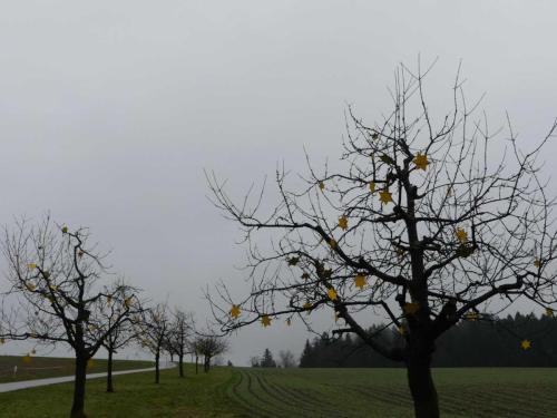 P1020217-Web