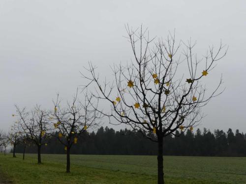 P1020219-Web