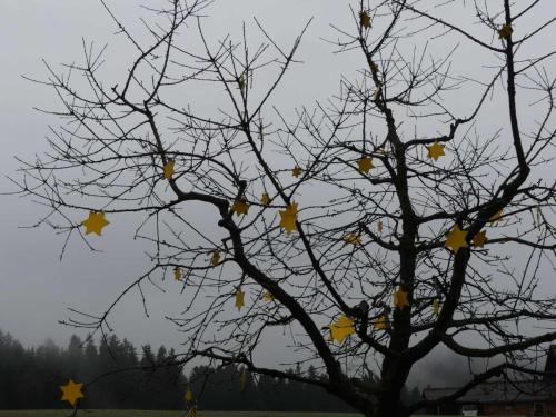 P1020220-Web