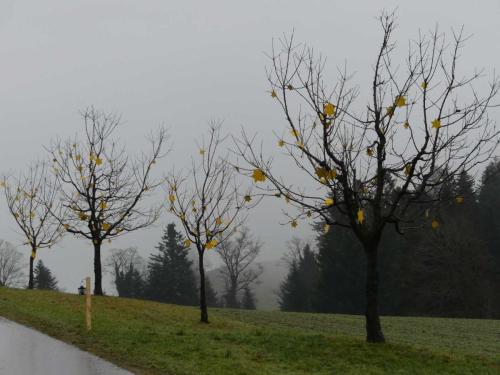 P1020221-Web