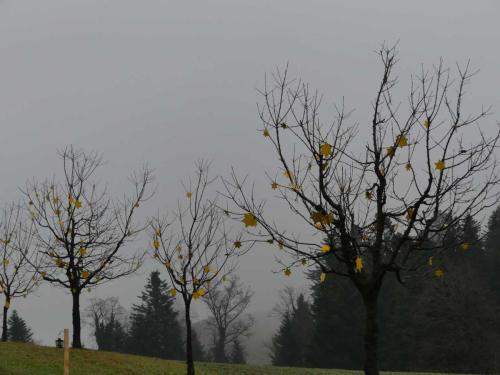 P1020222-Web